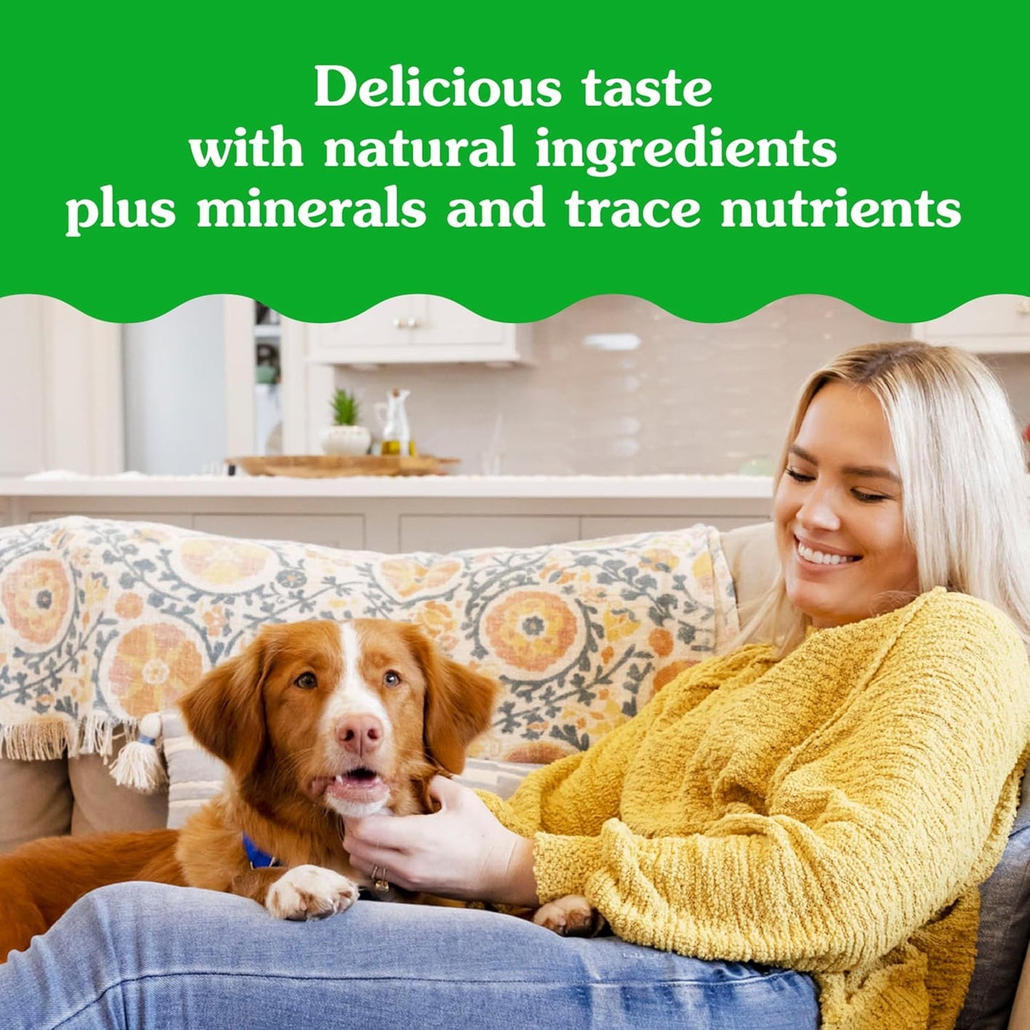 Pill Pockets for Dogs Large Size, Soft Dog Treats, with Real Peanut Butter, 15.8 Oz. Pouch (60 Treats)