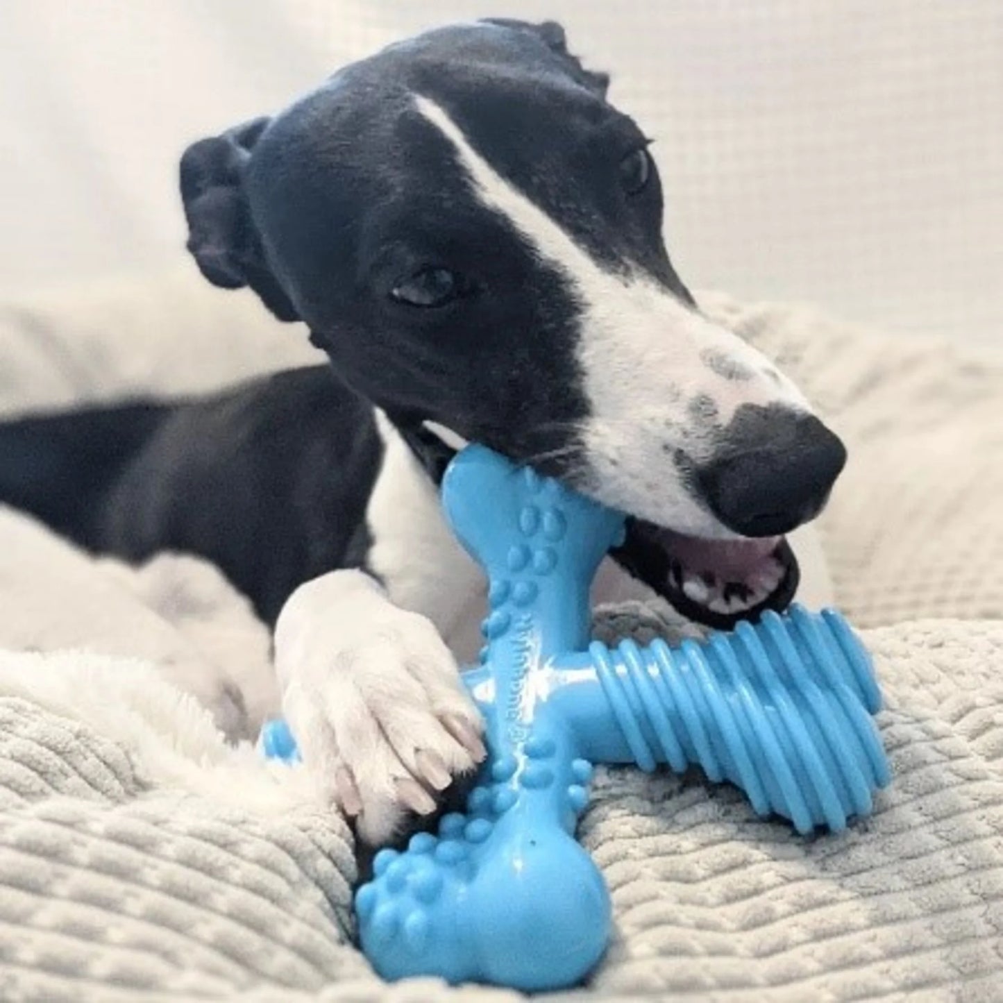 Power Chew X Bone Dog Toy – Large, Beef Flavor, Durable Comfort-Hold Chew for Aggressive Chewers