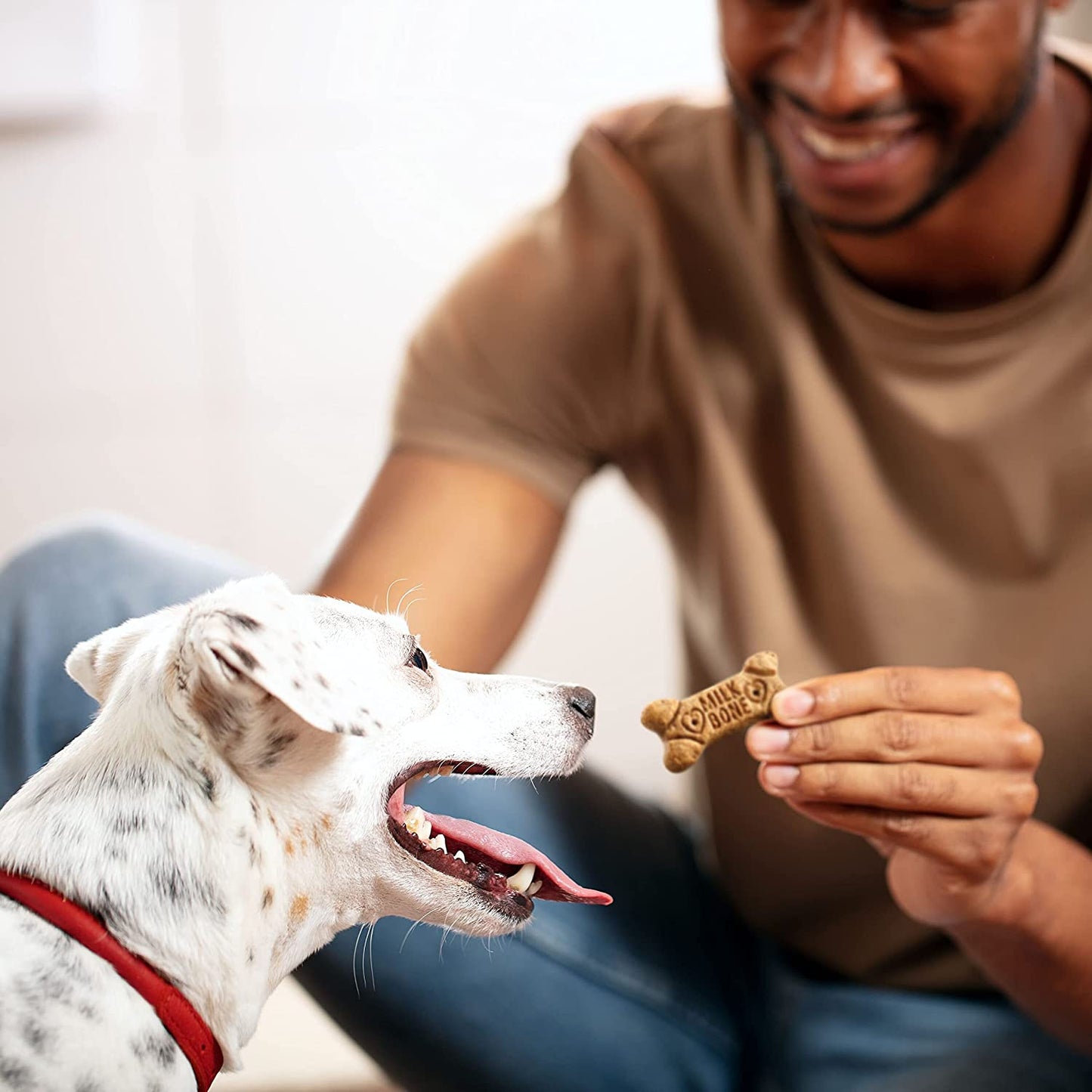 Flavor Snacks Small Dog Biscuits, Flavored Crunchy Dog Treats, 7 Pound Box
