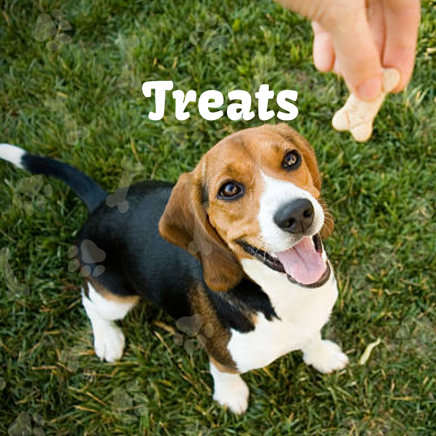 Treats