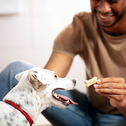 Original Dog Treats Biscuits for Medium Dogs, 24 Ounces (Packaging May Vary)