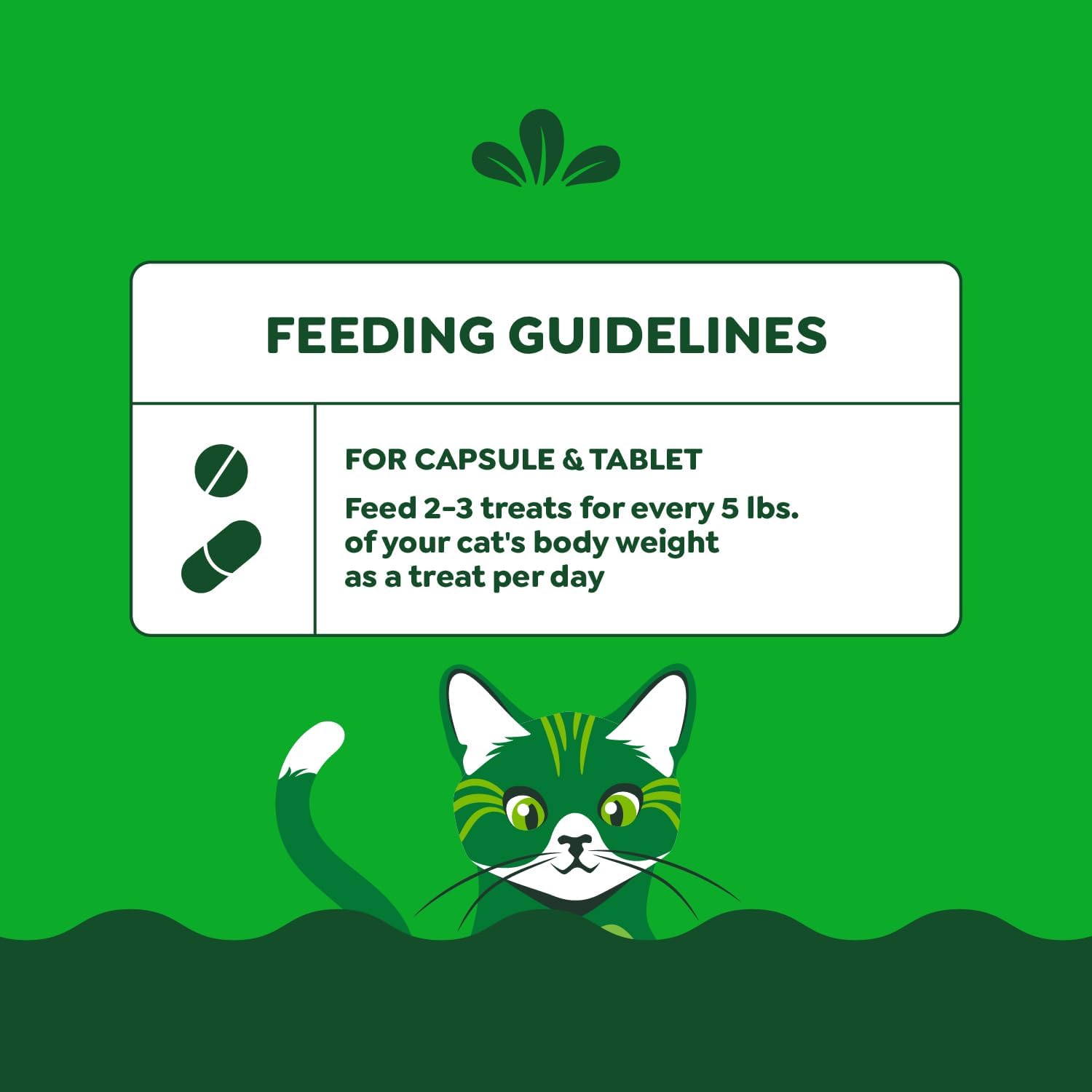 Feline Greenies Pill Pockets for Cats – Natural Soft Cat Treats, Catnip Flavor, 1.6 oz Pouch (45 Treats)