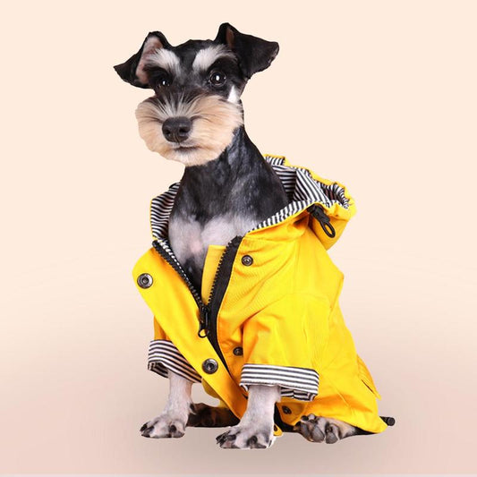 Striped Waterproof Dog Raincoat – Small & Medium Dogs, Stylish Pet Jacket for Rainy Days