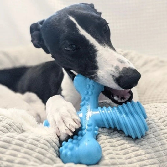 Power Chew X Bone Dog Toy – Large, Beef Flavor, Durable Comfort-Hold Chew for Aggressive Chewers