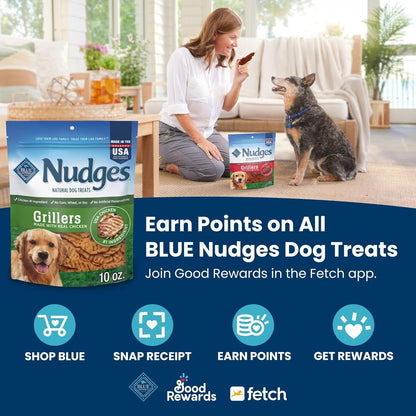 Nudges Grillers Natural Dog Treats, Made in the USA with Real Steak, 16-Oz Bag